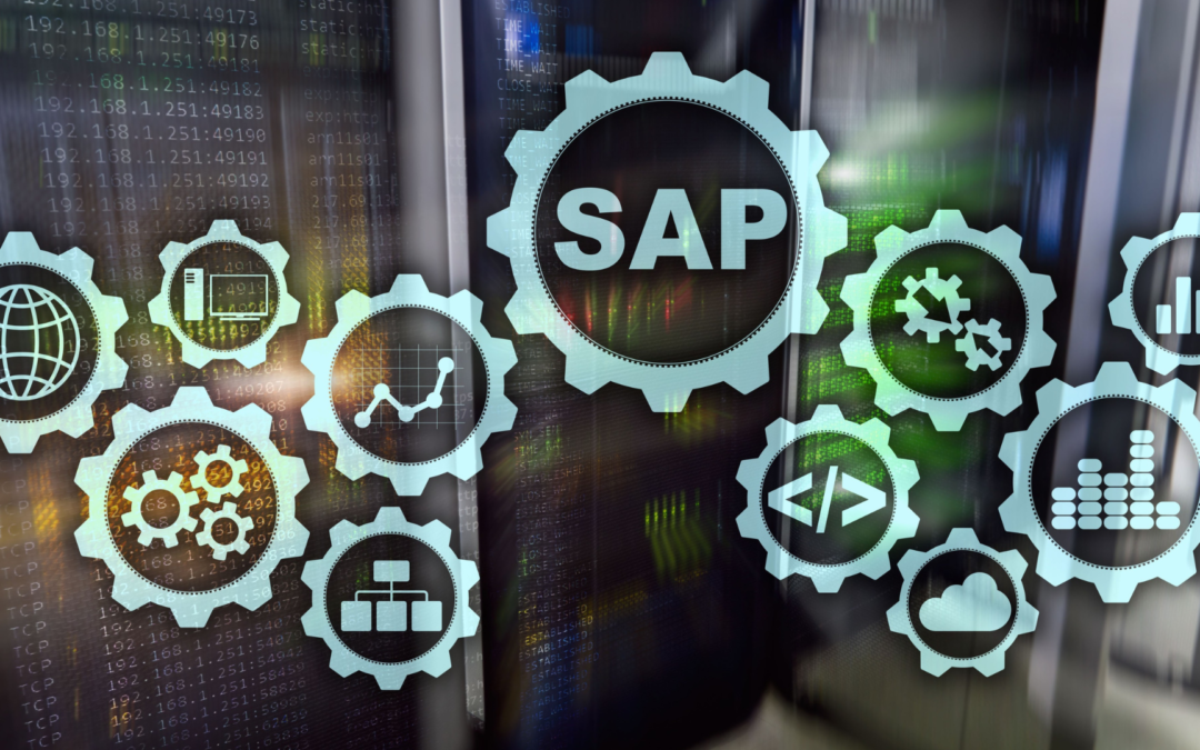 Qu&rsquo;avez-vous besoin dans votre logiciel métier pour lancer votre entreprise de SAP ?