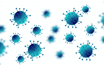 COVID-19 : Les services à la personne contraints de s&rsquo;adapter